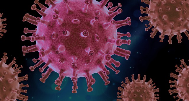 virus g3c8a12068 640