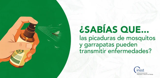 Captura_de_pantalla_2026-08-26_143954.png