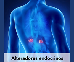Imagen noticia Alteradores endocrinos 2022