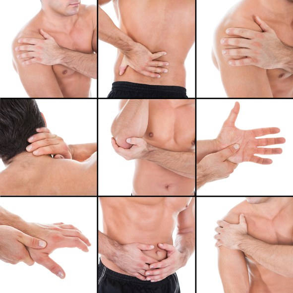 musculos