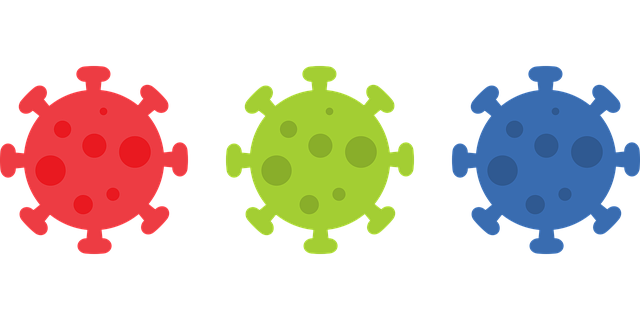 virus g5a0bb3980 640
